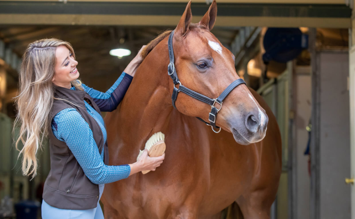 Myths About Racehorse Treatment