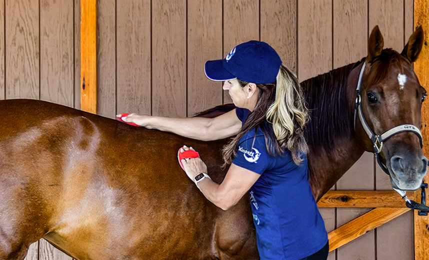 Most Influential Social Media Accounts in Horse Racing