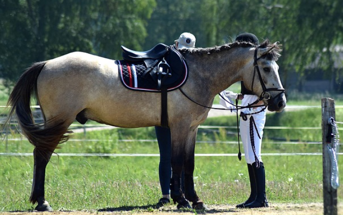 Most Dramatic Race Finishes in History