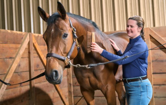 Nutrition Science for Equine Athletes