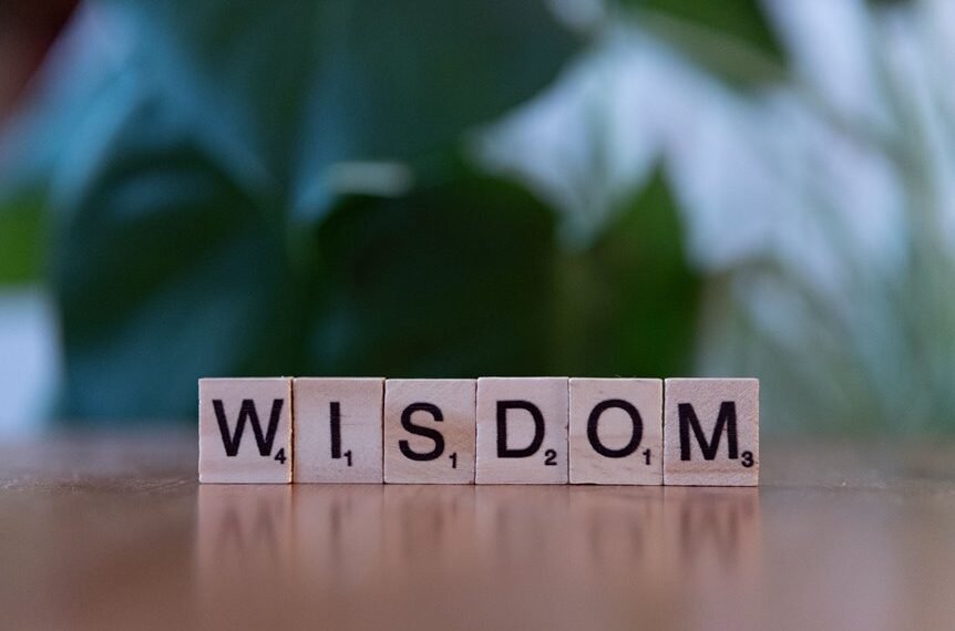 tomoson top reasons to learn
